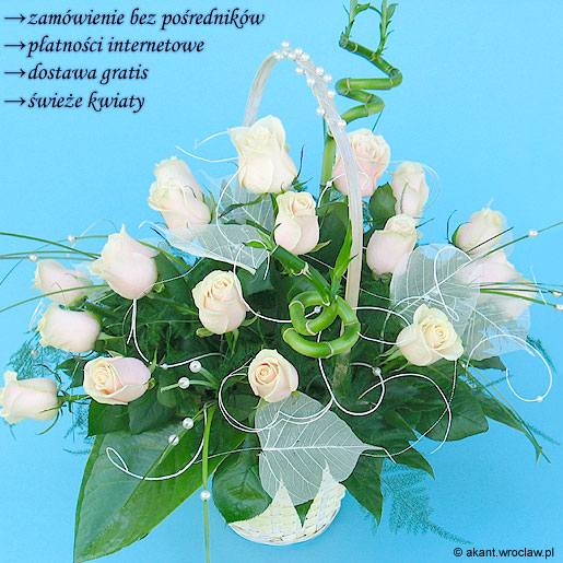 Powrót do listy produktów Zdjęcie produktu